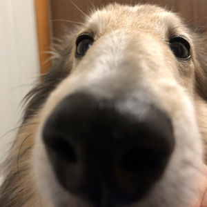 Meet your Posher, Emaaa